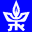 site favicon