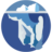 site favicon